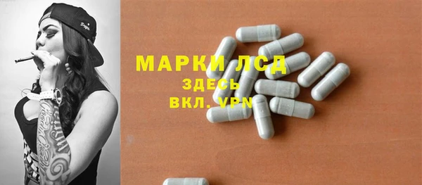 мяу мяу мука Баксан