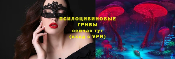 стафф Балахна