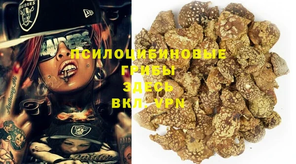 гидропоника Балабаново